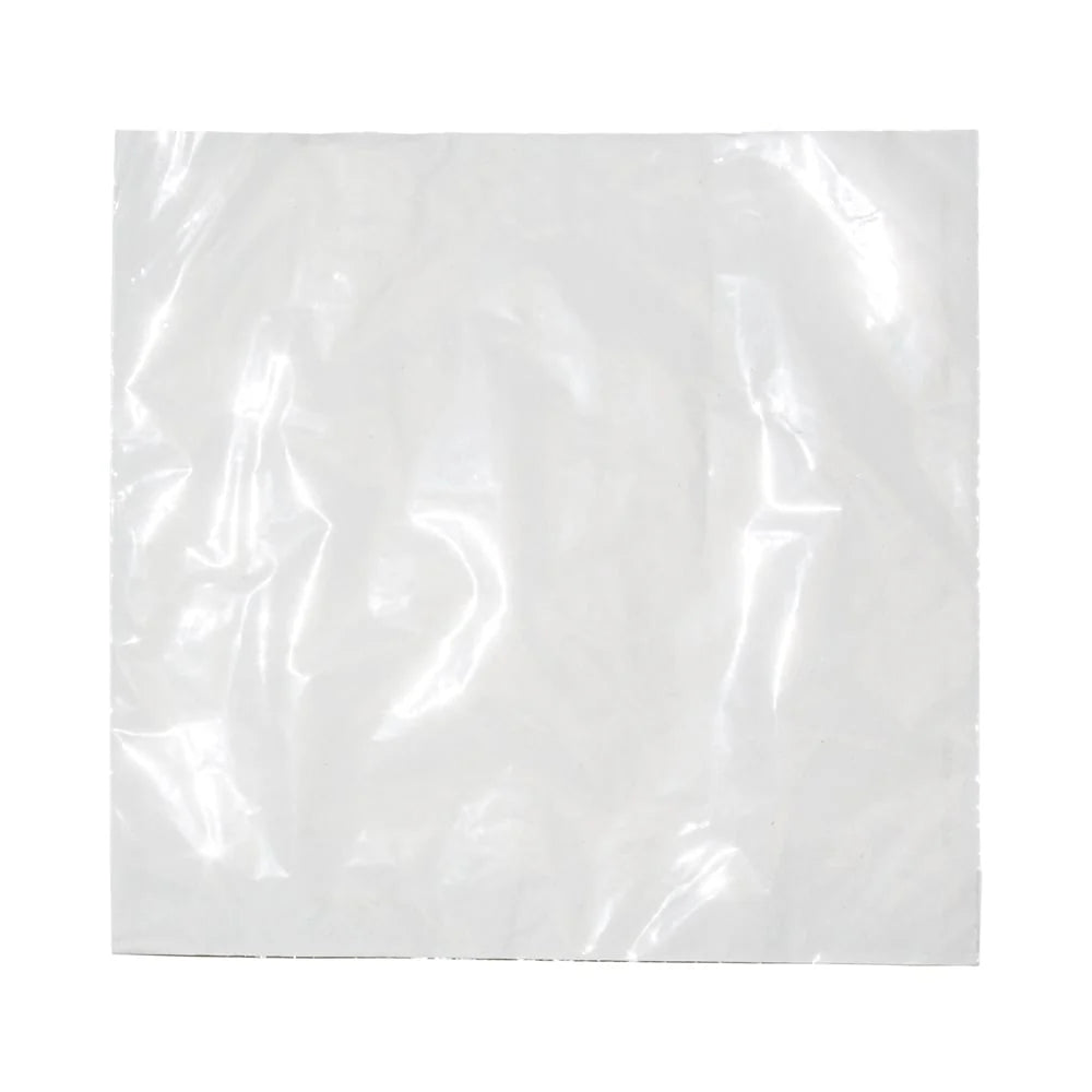 WHITE FILM FRONTED PAPER BAG 8.5X8.5 inch