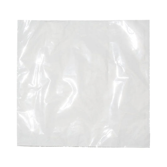 WHITE FILM FRONTED PAPER BAG 8.5X8.5 inch